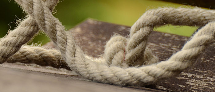 Taller Perdonar: Vivir en Libertad